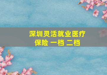 深圳灵活就业医疗保险 一档 二档